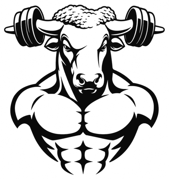 Harry's Gym Minotaurus